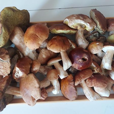 Apartman Jachymov Krusne Hory Dış mekan fotoğraf