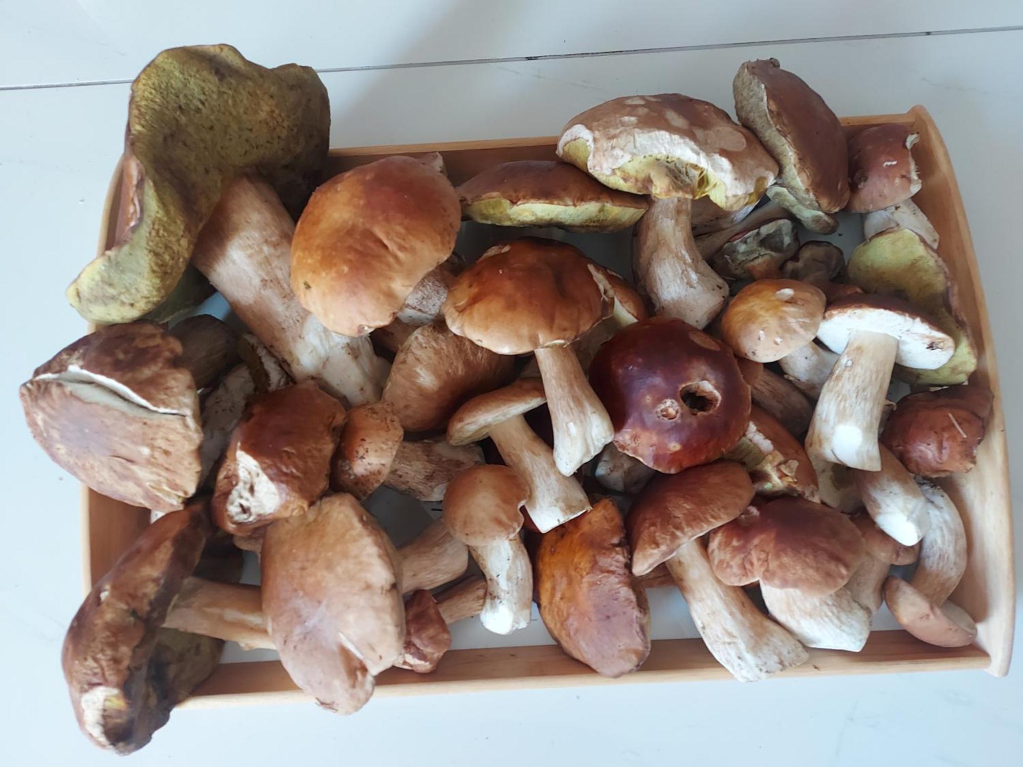 Apartman Jachymov Krusne Hory Dış mekan fotoğraf